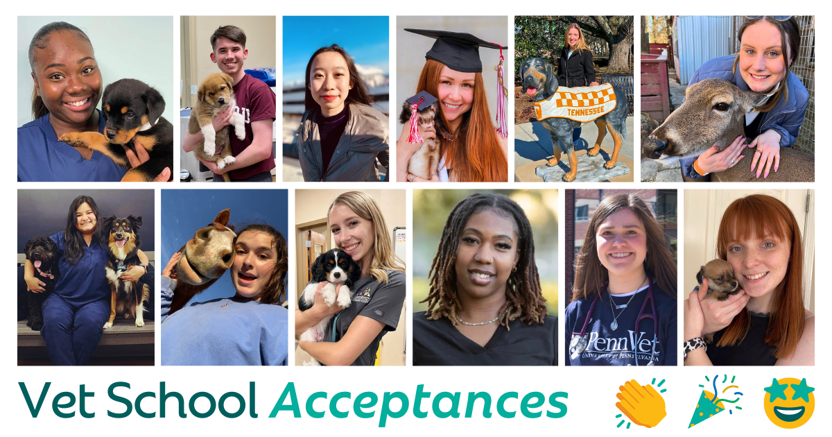 Vet School Acceptances Spring 2024